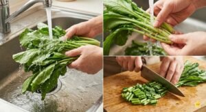 Karashi Takana Recipe